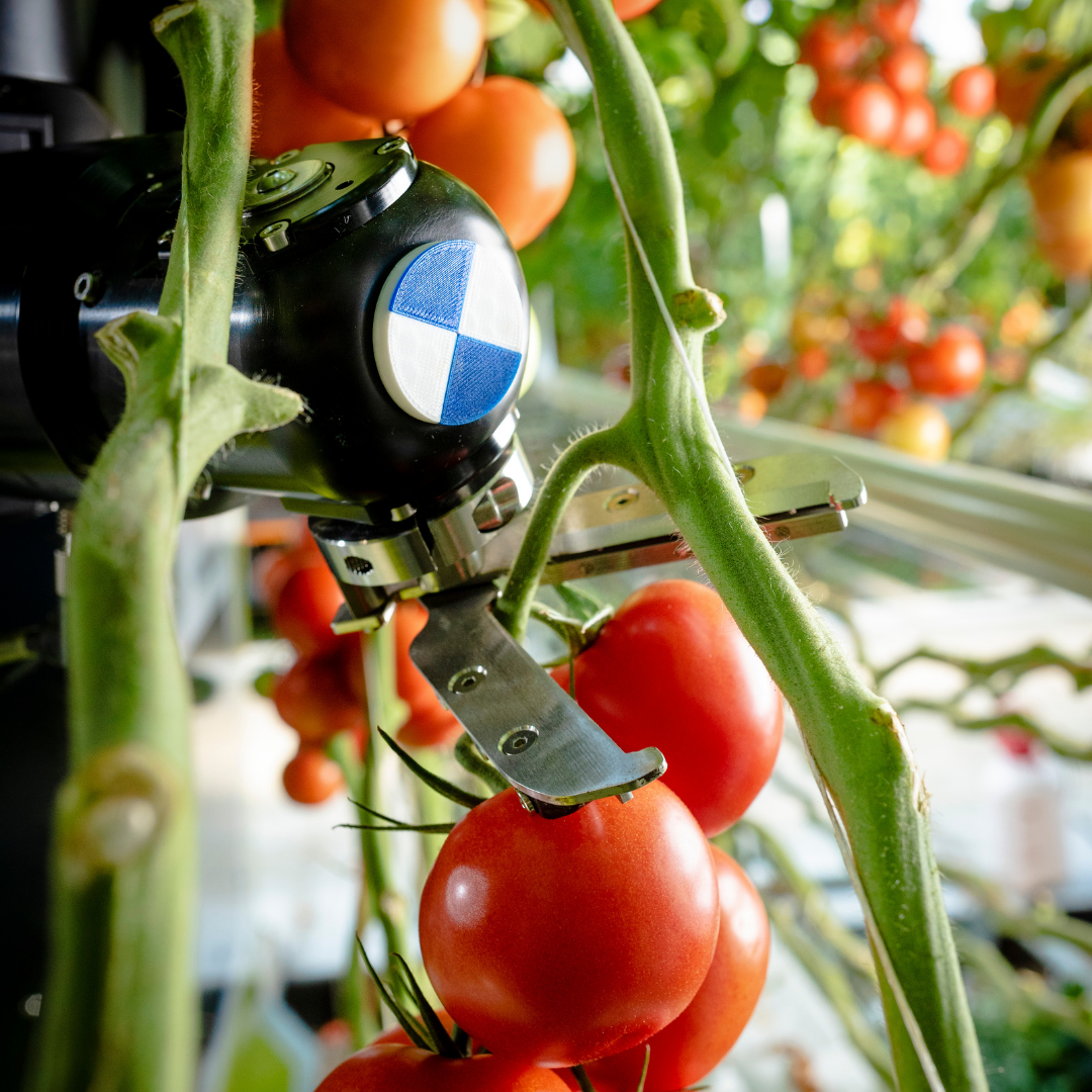 Grow robot essential for future cto